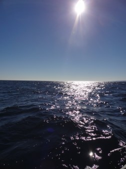 Fishing Field Trip 2012 017