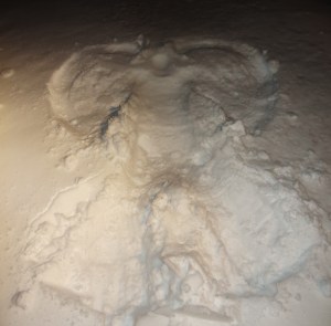 Snow Angel 019B