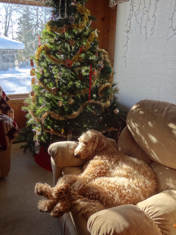 Have yourself a very lazy Christmas.