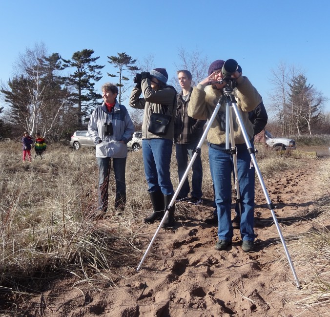 Birders on the shore of Lake Superior, Wisconsin Point.