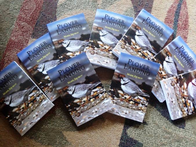 Plover Landing Novels