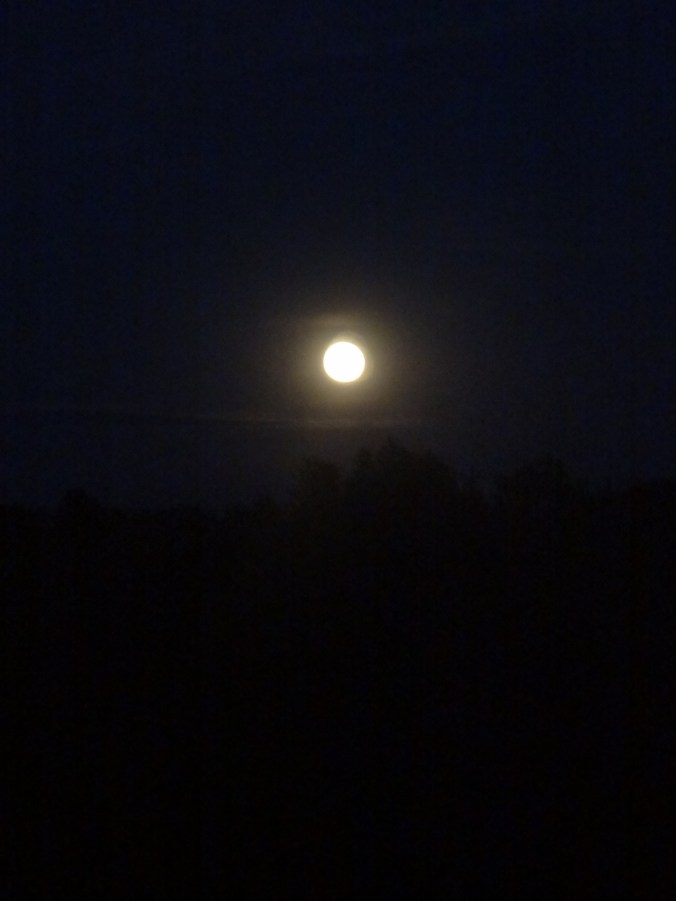 The moon as seen from my writing studio this past June. (The Strawberry Moon.)