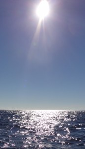 Fishing Field Trip 2012 017 (2)