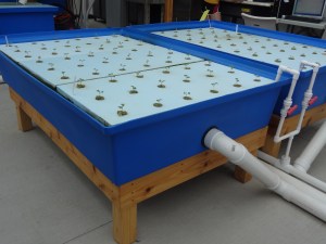 The plant growing platforms.