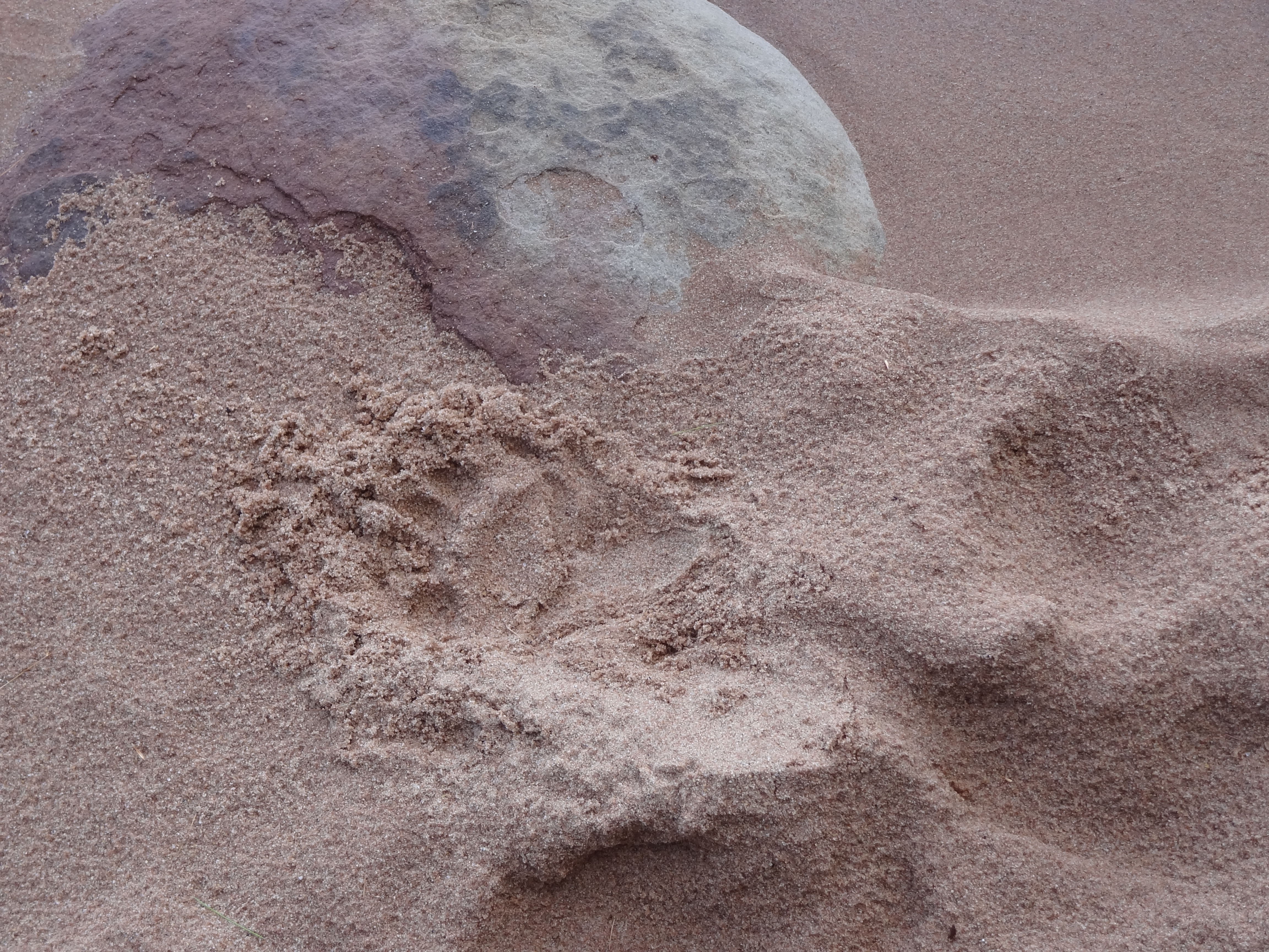 mi-is-lighthouse-detour-017