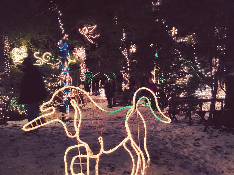 15665867_10154826364384841_4860803215423004416_n