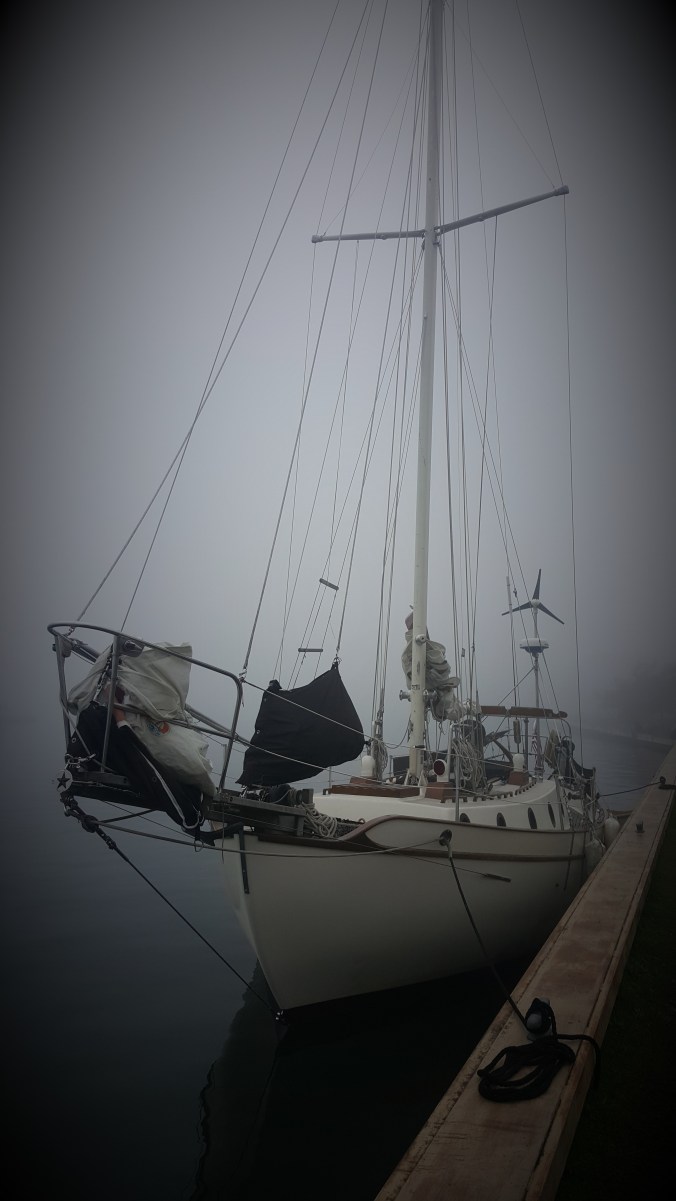 20180704_181011Vignette