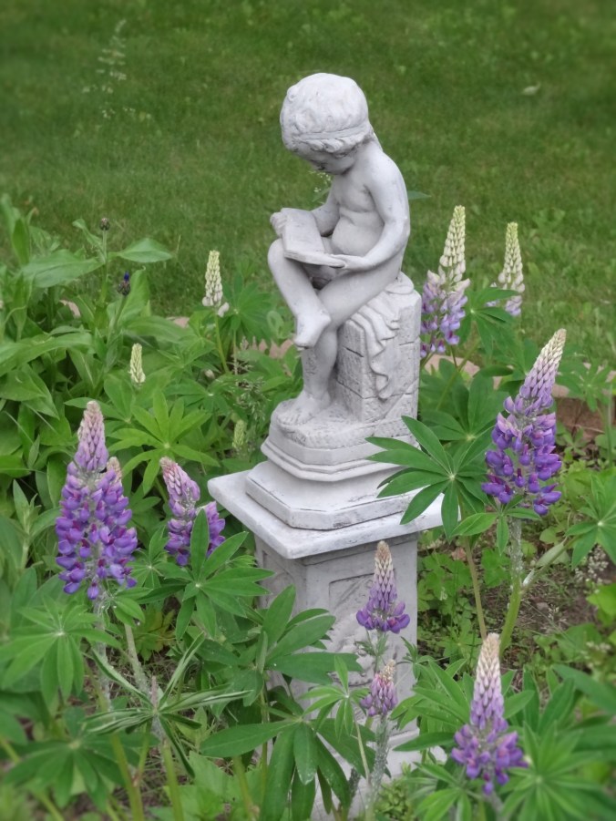 DSC02361 (2) use this one